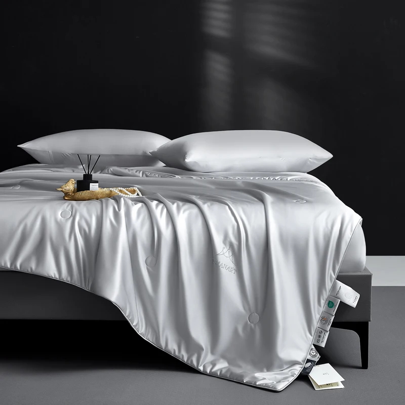 Pure Mulberry Silk Comforter for All Season, 100% Natural Long Strand Silk Filled Duvet, Lightweight Summer Quilt/Blanket/Duvets